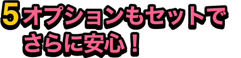 オプションもセットでさらに安心！